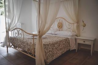 Le Radici Laviano - 0