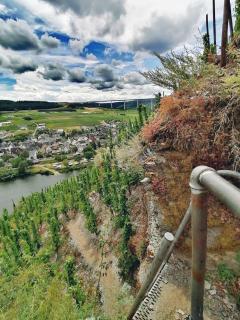 FeWo Sonnenlay - Apartments an der Mosel - Brauneberg - 1