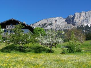 Bauernhof Vorderstiedler - Berchtesgaden - 5