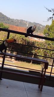 Pousada TOP Mairiporã - 5