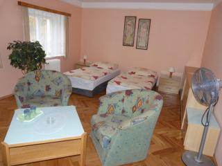 Dexter - Teplice - 5