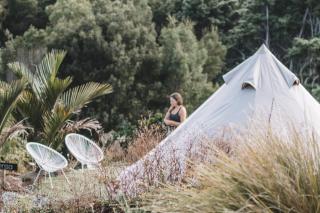 Aotearoa Surf Eco Pods - Te Arai - 2