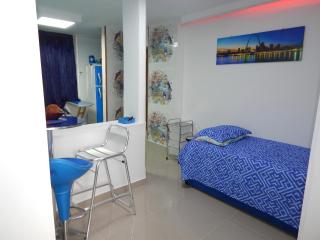 Delfin 207 - Cartagena de Indias - 6