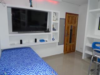 Delfin 207 - Cartagena de Indias - 0