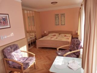 Dexter - Teplice - 2