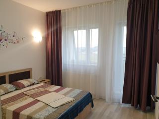 Friendly Rentals Vivamus - Braşov - 3