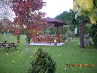 La Casa de Mamasita - 6