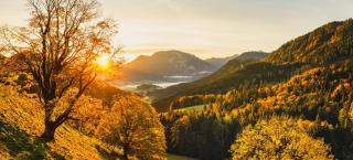 Steinberger Hof Alm inkl. Chiemgau Karte - 8