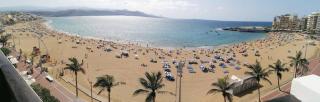 White Rose - Las Palmas - 6