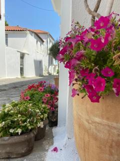 Raphael Skiathos Living-Venetia - Città di Skiathos - 5