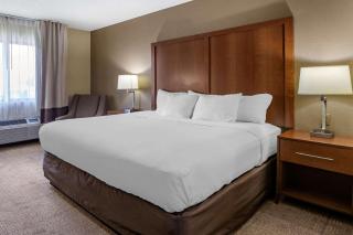Comfort Inn Moline - Quad Cities - Moline - 5