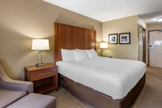 Comfort Inn Moline - Quad Cities - Moline - 4