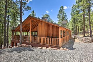 Serene Greer Cabin with Grill about 12 Mi to Skiing! - Greer - 0