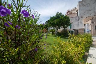 IL GIARDINO - Procida - 3