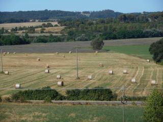 appartamento gelsomino - Buonconvento - 1