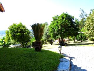 Quinta de S. Vicente 317 - Vila Nova de Famalicão - 5