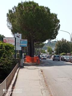 Casa peo - Benevento - 1