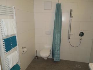 Busses Guesthouse - Fribourg-en-Brisgau - 1