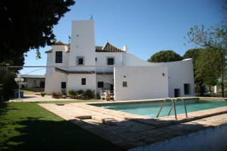 Casa Rural Viña Meneses - Marchena - 9
