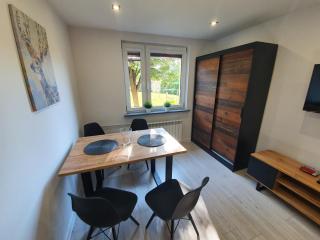 M&K Center Apartment - Dębica - 8