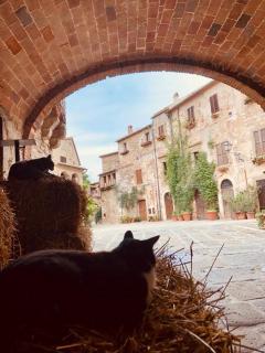 Appartamento Cuore - Montemerano - 9