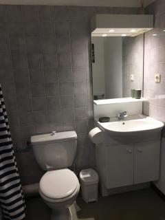 Brides-les-Bains family ski and spa appartment - 1