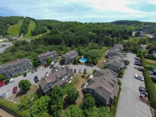 Dida - Saint-Sauveur-des-Monts - 9