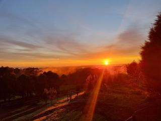 Beech Forest Cottage (Cozy Otways Accommodation) - Beech Forest - 3