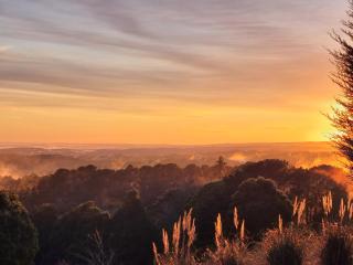 Beech Forest Cottage (Cozy Otways Accommodation) - Beech Forest - 4