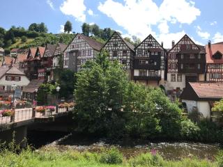 S-VILLA Apartments im Schwarzwald - Schiltach - 3