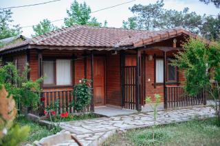 Koala Bungalows - 1