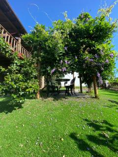 Casa do Pomar - Bragança - 9