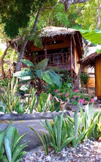Nini's Beach Bungalows - Bira - 9