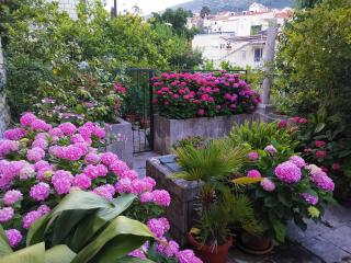 Apartments Sensa - Dubrovnik - 6