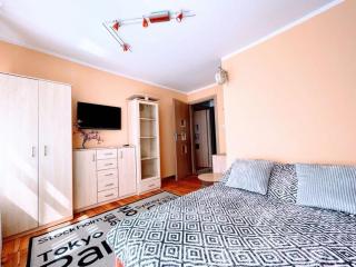 Apartament Carolina - Toruń - 1