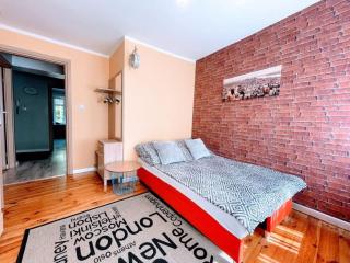 Apartament Carolina - Toruń - 6