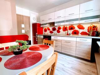 Apartament Carolina - Toruń - 9