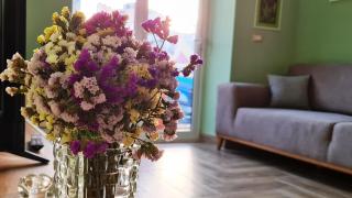 2V1 - Sheshi Willson - 7