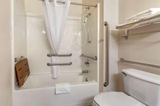 MainStay Suites Dubuque at Hwy 20 - 5