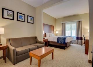 Comfort Inn & Suites Augusta Fort Eisenhower Area - Augusta - 4