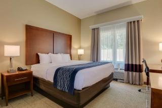 Comfort Inn & Suites Augusta Fort Eisenhower Area - Augusta - 3