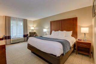 Comfort Inn & Suites Augusta Fort Eisenhower Area - Augusta - 1