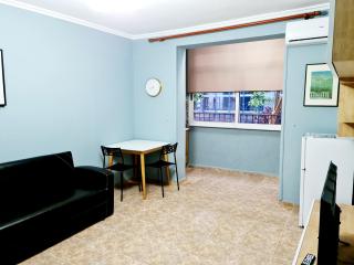2V1 - 21 Dhjetori AM - Tirana - 8