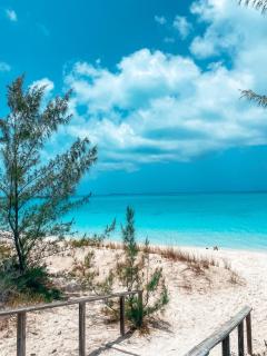 Tropical View Villas - Hartswell - 6