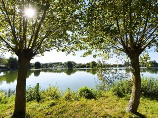 Charmante Maison à Recques-sur-Hem, 2 pers, Animaux Acceptés, Jardin, Proche Calais et St Omer - FR-1-376-58 - Recques-sur-Hem - 2