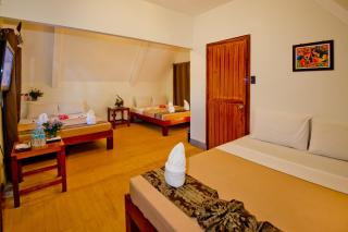 Acacia Tree Garden Hotel - Puerto Princesa - 5