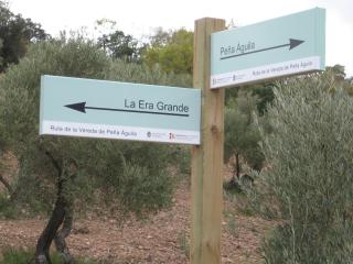 Cortijo "Era Grande 1" - Córdoba - 8