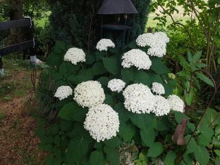 Fewo am Wald - Balve - 3