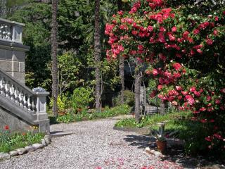 Bed and Breakfast Casa Locarno - 1