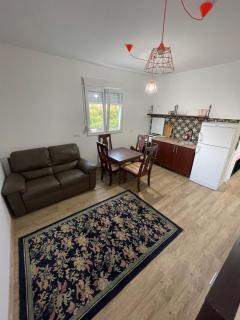 Entire spacious apartment with free parking - Podgorica - 9